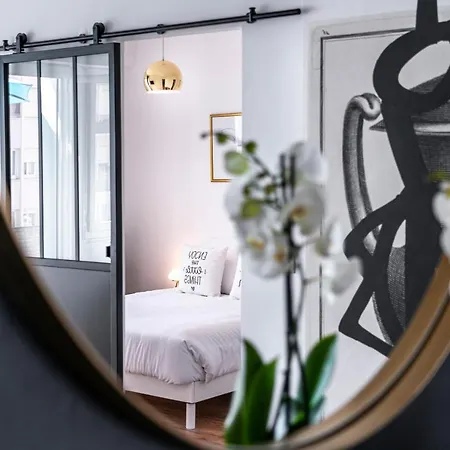 Au Palais Des Pyrenees! Hyper Centre -clim-balcon-parking Gratuit Appartement *