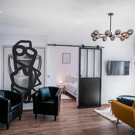 Au Palais Des Pyrenees! Hyper Centre -clim-balcon-parking Gratuit * Pau