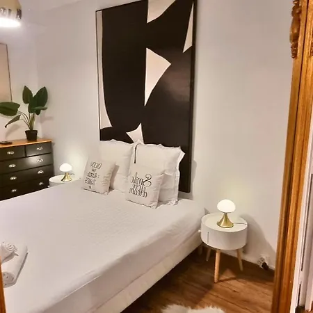 Au Palais Des Pyrenees! Hyper Centre -clim-balcon-parking Gratuit * Pau