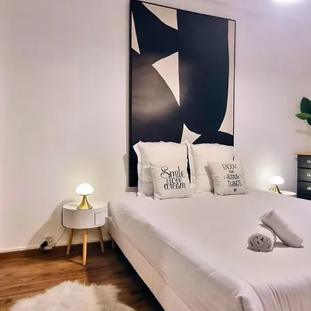 Au Palais Des Pyrenees! Hyper Centre -clim-balcon-parking Gratuit Апартаменты