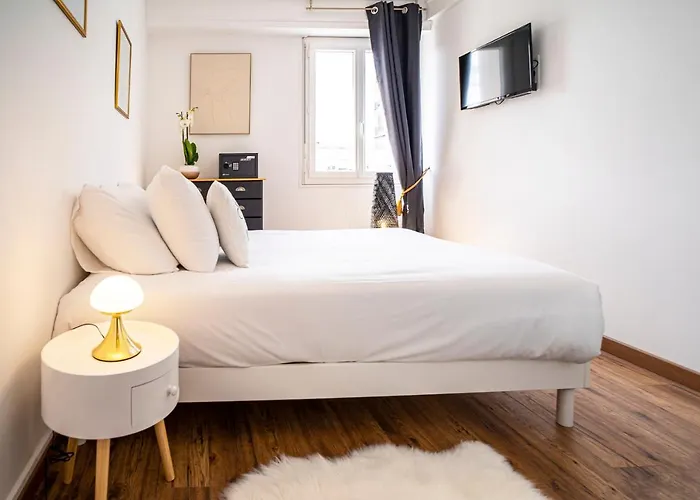 Au Palais Des Pyrenees! Hyper Centre -clim-balcon-parking Gratuit 波城