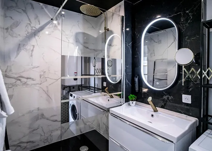 Au Palais Des Pyrenees! Hyper Centre -clim-balcon-parking Gratuit 公寓 *